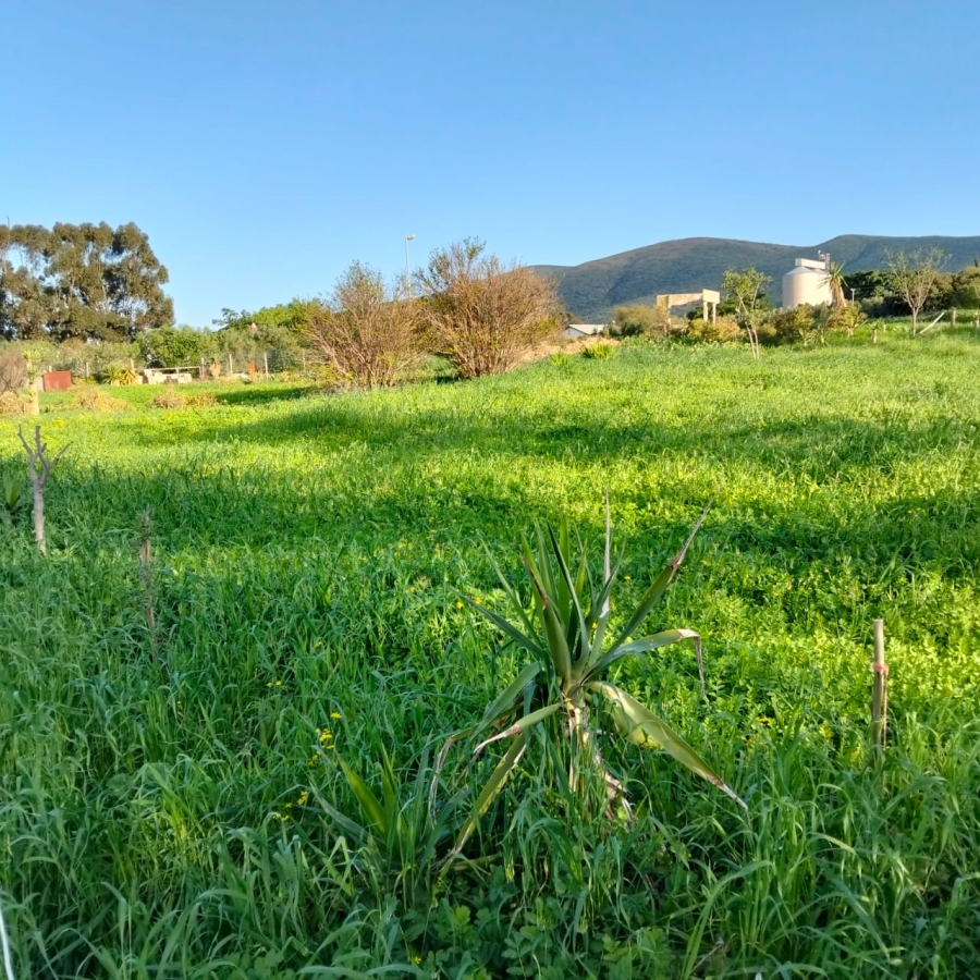 0 Bedroom Property for Sale in Koringberg Western Cape